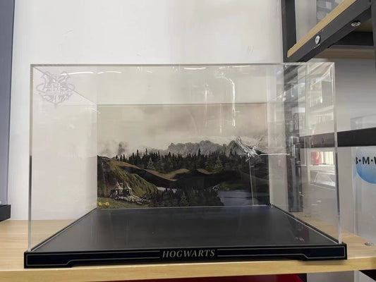 LEGO display case